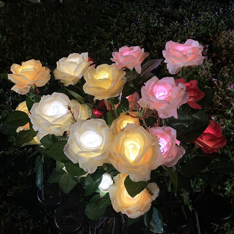 פרחי ורדים סולאריים